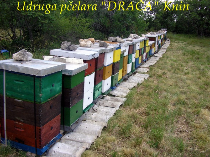 UP_Draca_Knin (15)